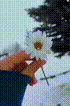 .husranin.