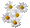 Znak