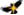 Znak