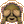 Znak