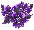 Znak