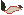 Znak