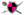 Znak