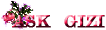 Nik