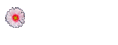 Nik